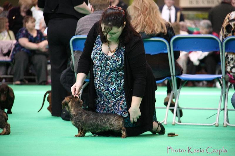 Crufts2011_2 982.jpg